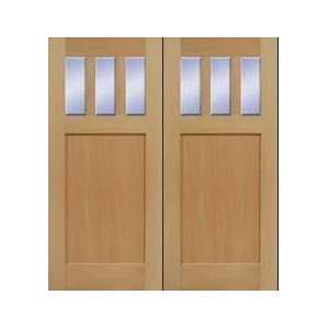  Exterior Door: Craftsman One Panel Three Lite Pair (Single 
