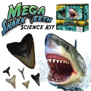 Mega Shark Teeth Science Kit