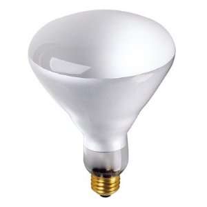 65W Incandescent BR40 Indoor Reflector Flood Light Bulb with E26 Base 