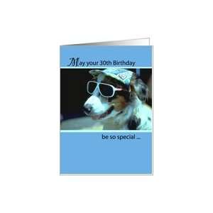   , Dog with Sunglasses and Hat, Humorous, Funny Card Toys & Games