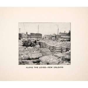1906 Print New Orleans Louisiana Build Flood Levee Construction 