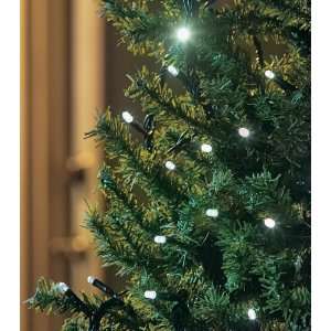 Solar Powered LED Holiday Lights:  Sports & Outdoors