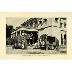  1905 Print India Royalty Decorative Elephant 