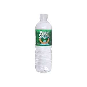 Poland Spring, Spring Water, 24/0.5 Ltr: Health & Personal 