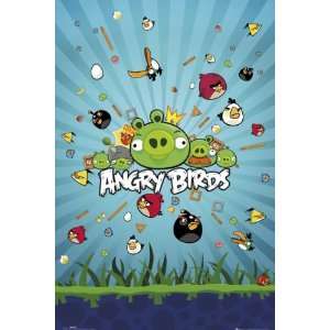  (22x34) Angry Birds Group Video Game Poster Print: Home 