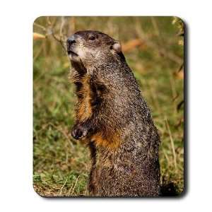  Groundhog Animals Mousepad by 