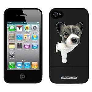  Papillon Puppy on AT&T iPhone 4 Case by Coveroo: MP3 