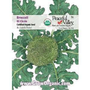  Organic Broccoli Seed Pack, Di Ciccio: Patio, Lawn 