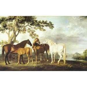 Mares & Foals in A Landscape 