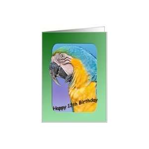 13th Birthday Card with Macaw Bird Card