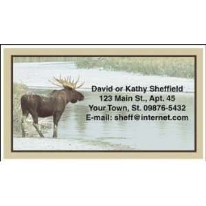  American Wildlife Contact Cards