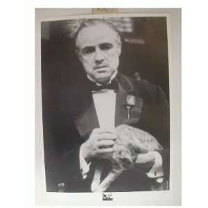  The Godfather Poster Marlon Brando Cat 