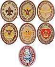   Eagle Scout Rank Patch Merit Badge BSA 100th Anniversary Lot Pin OA