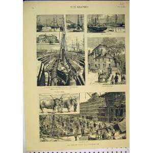    1883 Southampton Dock Wind Whistle Tower Oxen Ships