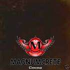 MagnumCrete Acid Stain 1 Gallon   COCOA