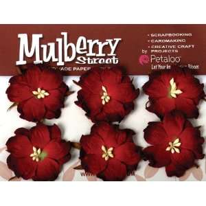  Mulberry Street Handmade Paper Wild Roses 6/Pkg Re 