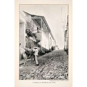  1910 Print Street Cobblestone Horse Man Santiago De Cuba 