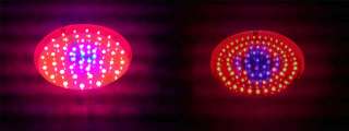   HIGH POWER 147W LED Grow Light 3W chip RED BLUE UFO Hydroponics  