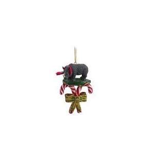  Rhinoceros Candy Cane Christmas Ornament: Home & Kitchen