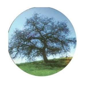   Network   One Tree   Round Stickers 3 Health & Personal Care