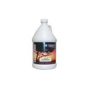 Rochester Midland Corporation Low foam All purpose Cleaner 