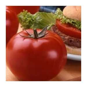  Organic Big Beef Tomato   1/128oz. Bulk Vegetable Seed 