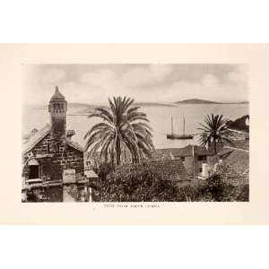 1908 Halftone Print Hvar Lesina Croatia Dalmatia Coast Shore Adriatic 