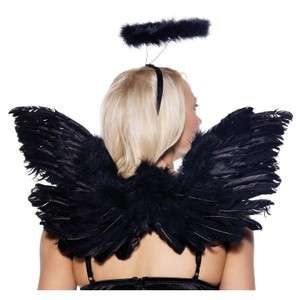 Dark Angel Deluxe Black Feather Wings & Halo Accy Set  