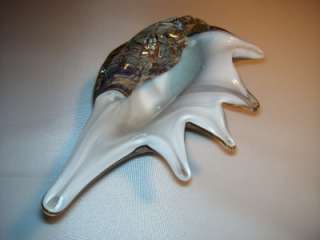 Glass Sculpture Sea Shell by Art Glass Collection  