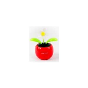   Dancing Solar Flower, Random Colors (Red, Pink, Green, Yellow): Baby