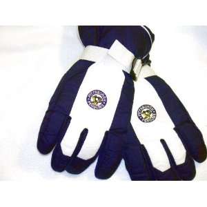   Winter Gloves X LARGE) INSULATED GLOVES TO KEEP YOU WARM: Sports
