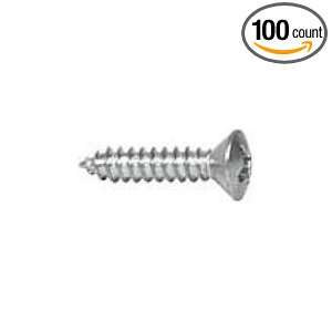 10X3/4 Phillips Oval Head Sheet Metal Screw (100 count):  