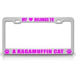 MY HEART BELONGS TO A RAGAMUFFIN Cat Pet Auto License Plate Frame Tag 
