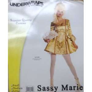  Underwraps Sassy Marie Celtic Dress Costume Toys & Games