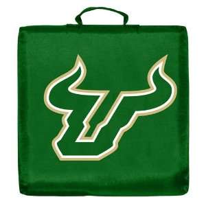  South Florida Bulls Team Logo Stadium Cushion: Sports 