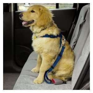 LARGE   RED   Dog Car/Truck Safety Harness   Adjustable Nylon Web with 