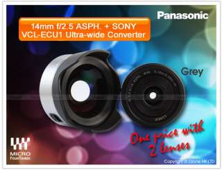 Panasonic LUMIX G 14mm F/2.5 Gray with Sony Wide Angle VCL ECU1 ASPH 