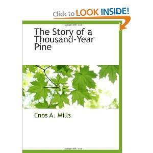  The Story of a Thousand Year Pine (9781113138460) Enos A 