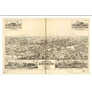 Historic Longwood, Florida, c. 1885 (M) Panoramic Map Poster Print 