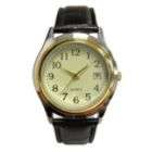 Mens Calendar Date Watch w/TT Round Case, Champagne Dial and Brown 