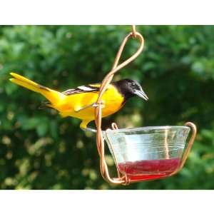  Single Jelly Cup Feeder (Bird Feeders) (Fruit and Jelly 