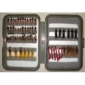   NYMPH COLLECTION 60 FLIES FREE FLY BOX 