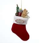  Pomeranian in Knit Christmas Stocking Ornaments for Personalization
