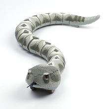 Animal Planet Radio Controlled Rattle Snake   Toys R Us   