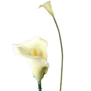   Single Stem Cream Calla Lily Wedding Flower 060: Home & Kitchen