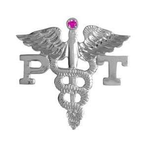  NursingPin   Physical Therapist PT Lapel Pin with Ruby in 