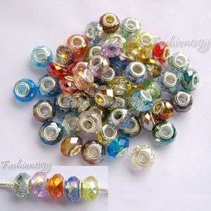 PICK Clips Stopper AB Crystal Glass Silver Charms Animal Beads Leather 