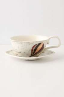 Anthropologie   Curious Deciduous Cup customer reviews   product 