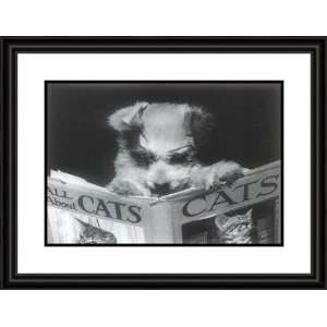 All About Cats by Anonymous   Framed Artwork 