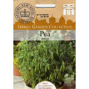   Morgan 4962 Urban Garden Pea Bingo Seed Packet Patio, Lawn & Garden